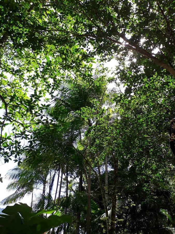Sumatra Ecolodge São Sebastião Exterior foto